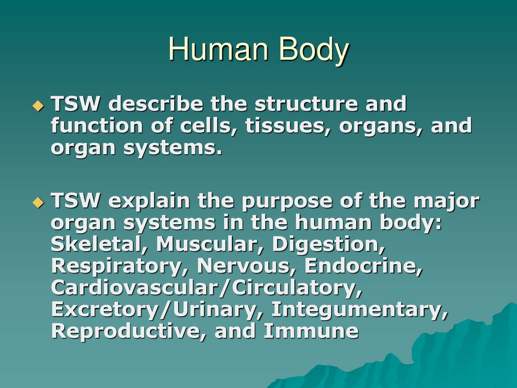 Human Body TSW describe the structure and function of cells, tissues ... Biology Diagrams