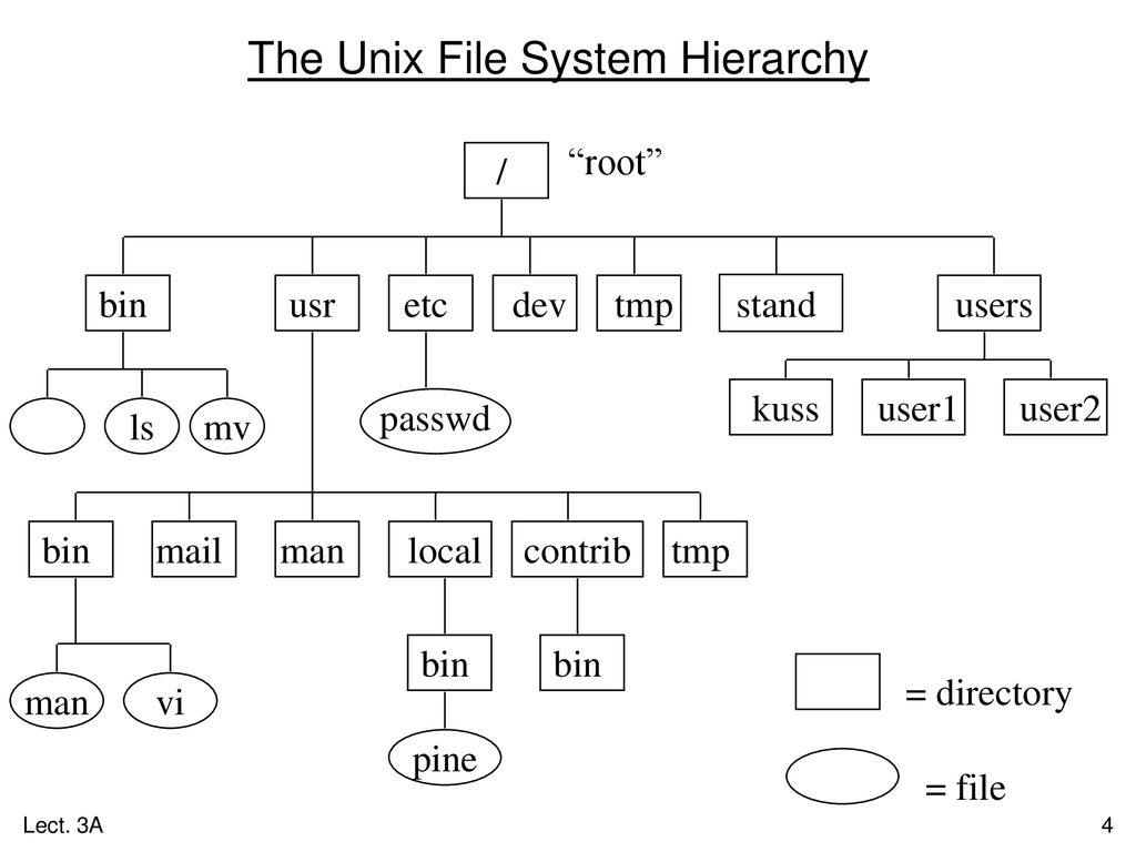 Unix commands a brief look at common unix commands ppt download