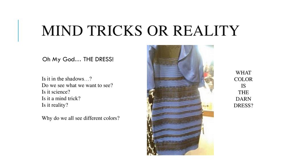 picture Trick What Color Is The Dress perception awareness sense and