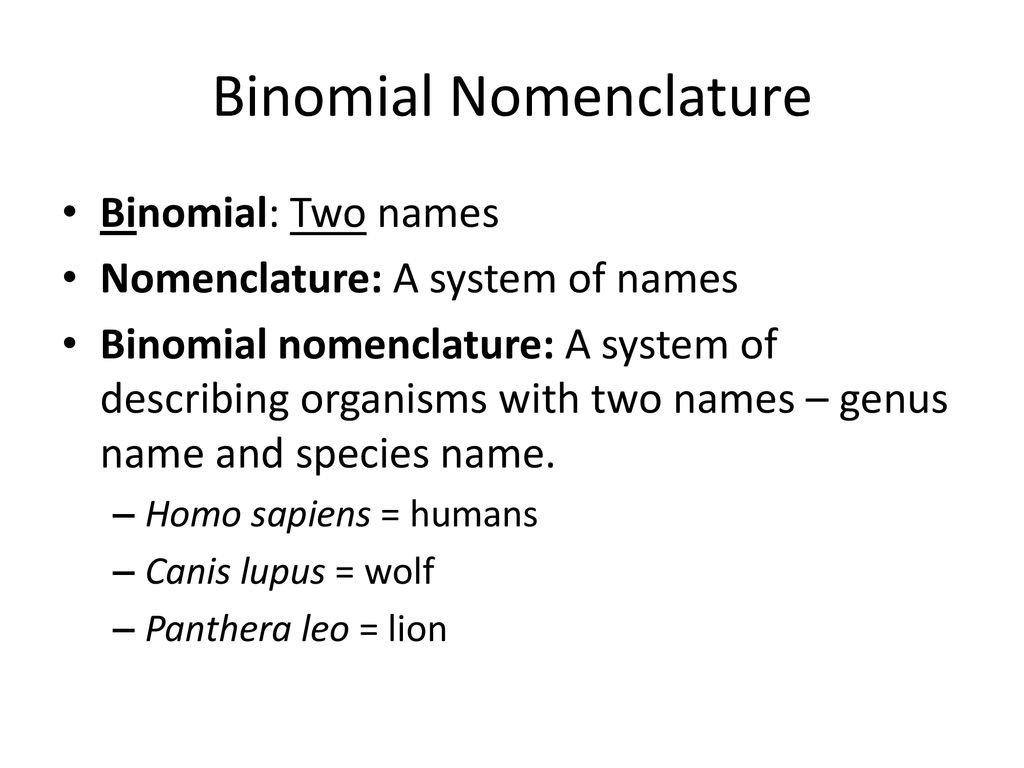 Objective SWBAT describe the levels of biological classification