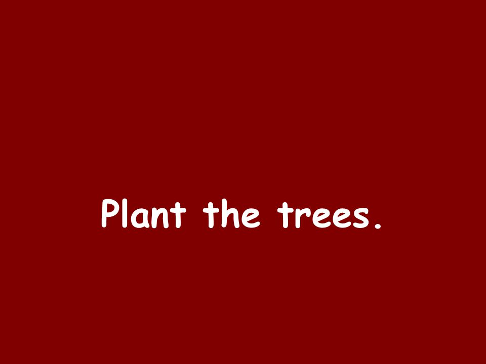 Plant the trees.