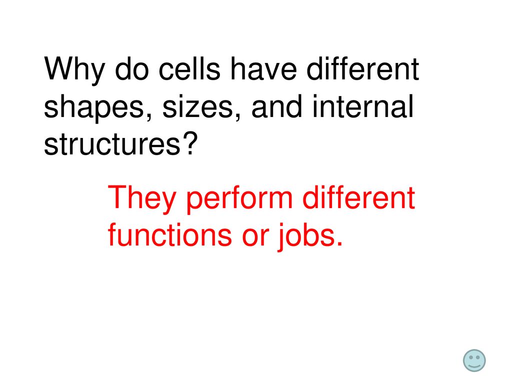 Cell differentiation ppt download