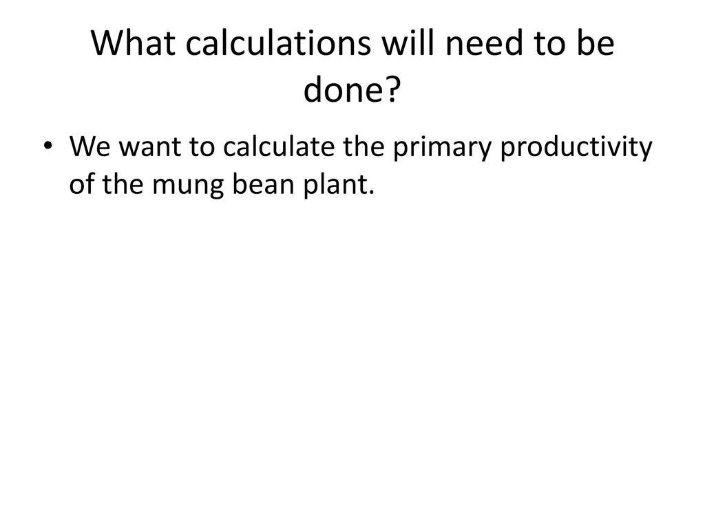 Primary productivity lab ppt download