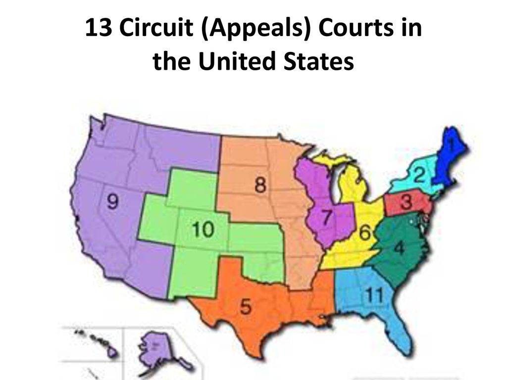 State district. Districts Court in USA Map. Circuit Court us. District Court and circuit Court схема. Map of us Federal Court Districts.