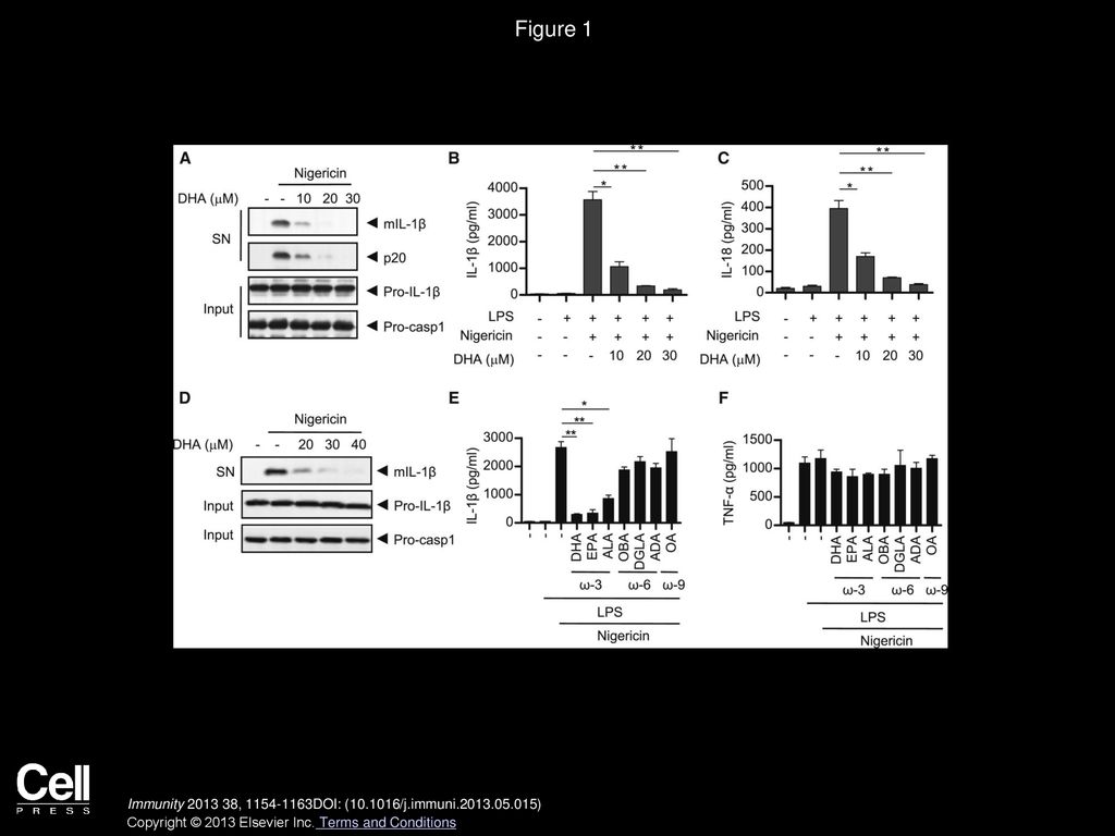 Figure 1 ω-3 FAs Suppress Caspase-1 Activation and IL-1β Secretion