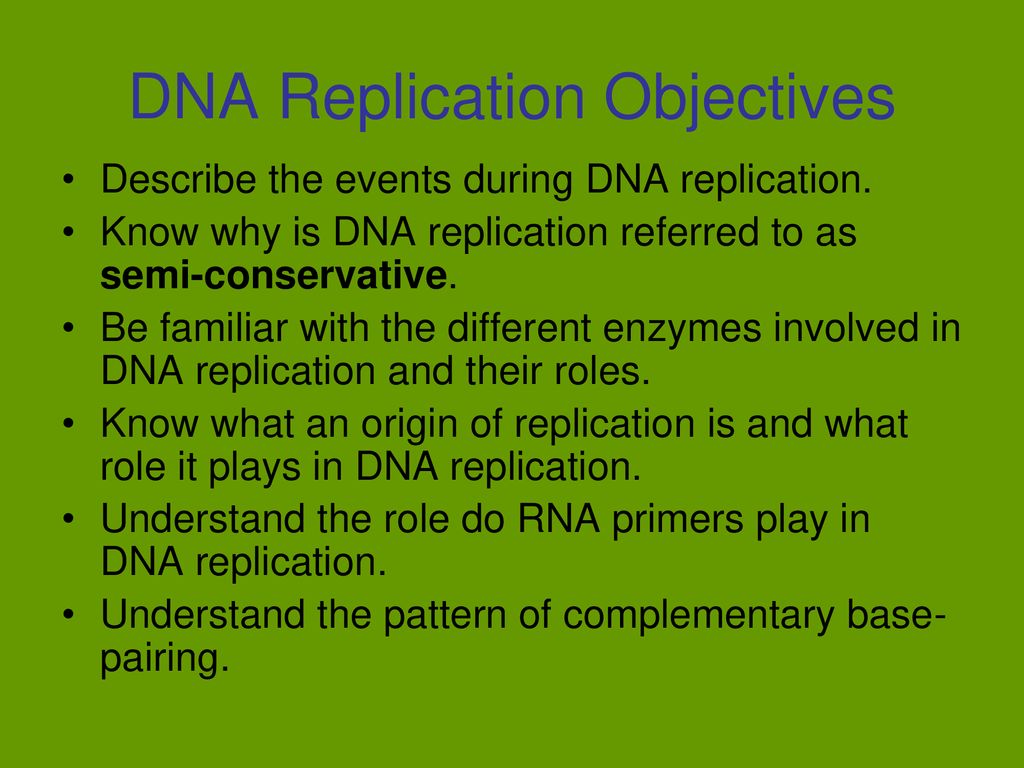 DNA Replication Objectives