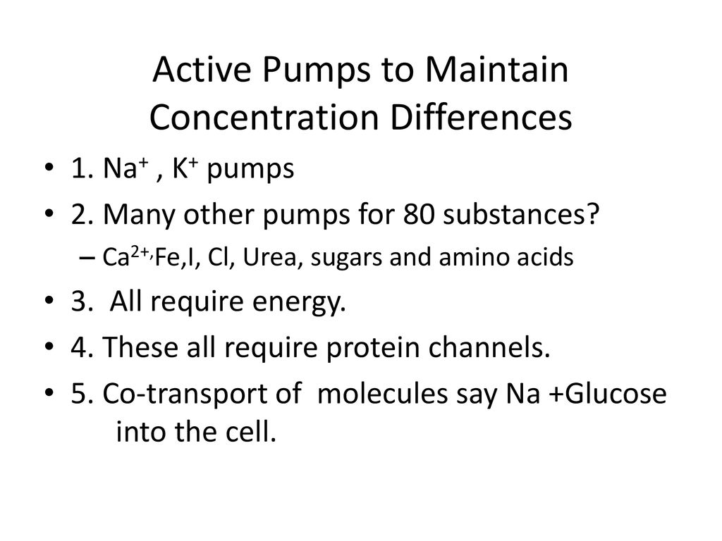 Lecture 13 ECEN5341/4341 February 14, ppt download