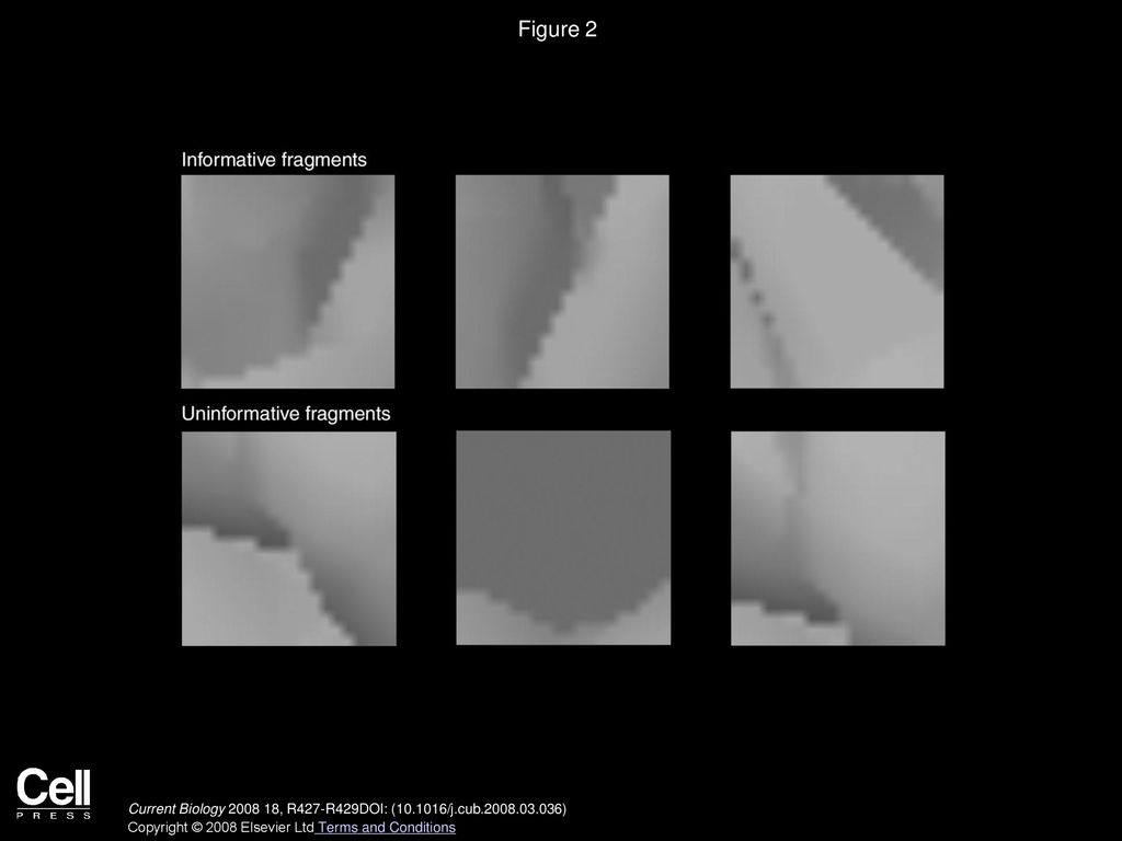 Figure 2 Examples of informative and uninformative fragments.