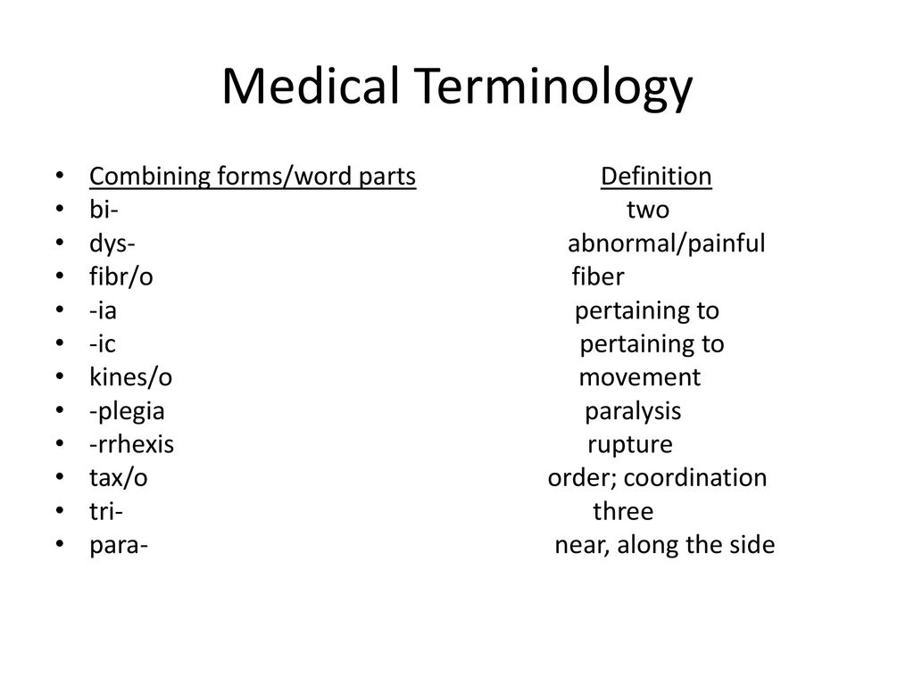 Medical Terminology The Muscular System. - ppt download