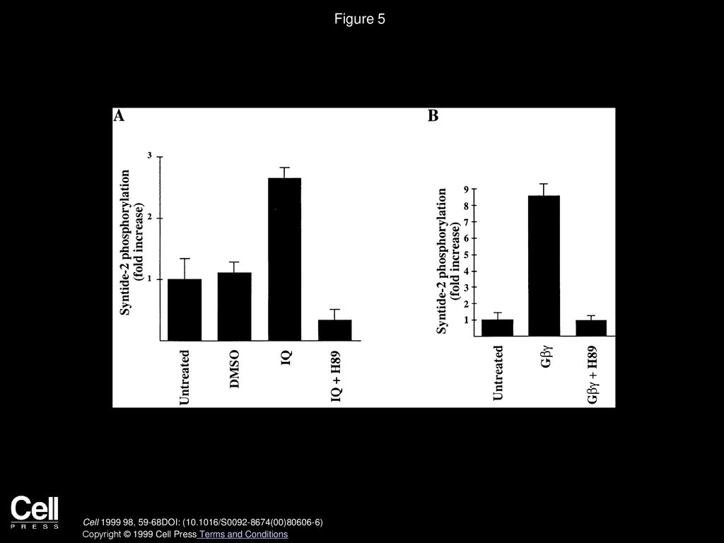 Figure 5 IQ and Gβγ Can Activate PKD on Golgi Membranes