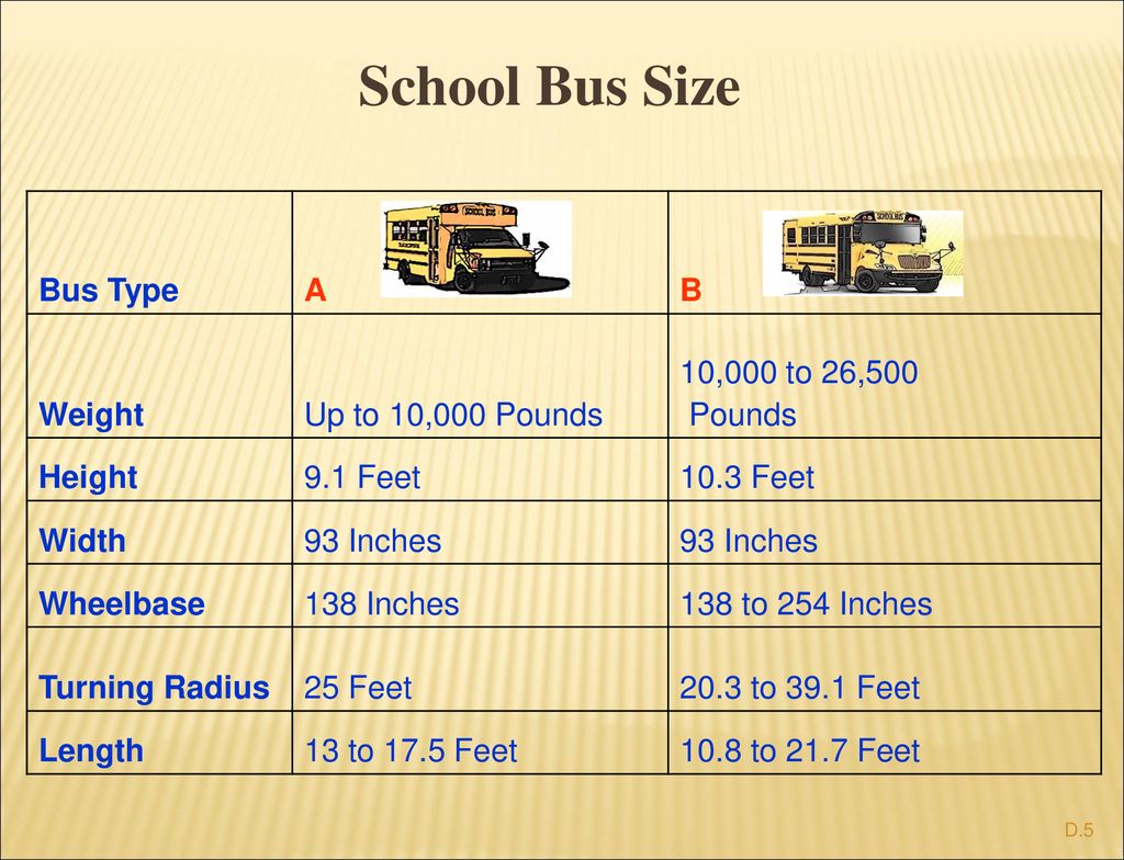 A School Bus Size