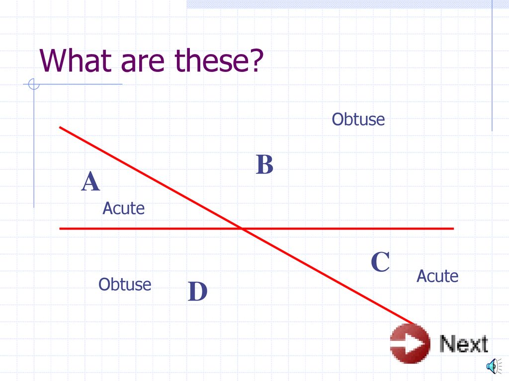 What are these B A C D Obtuse Acute Acute Obtuse