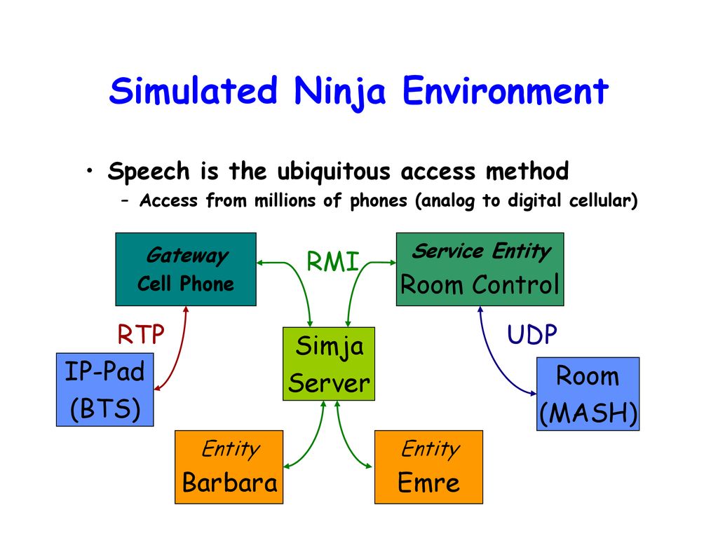 Simulated Ninja Environment