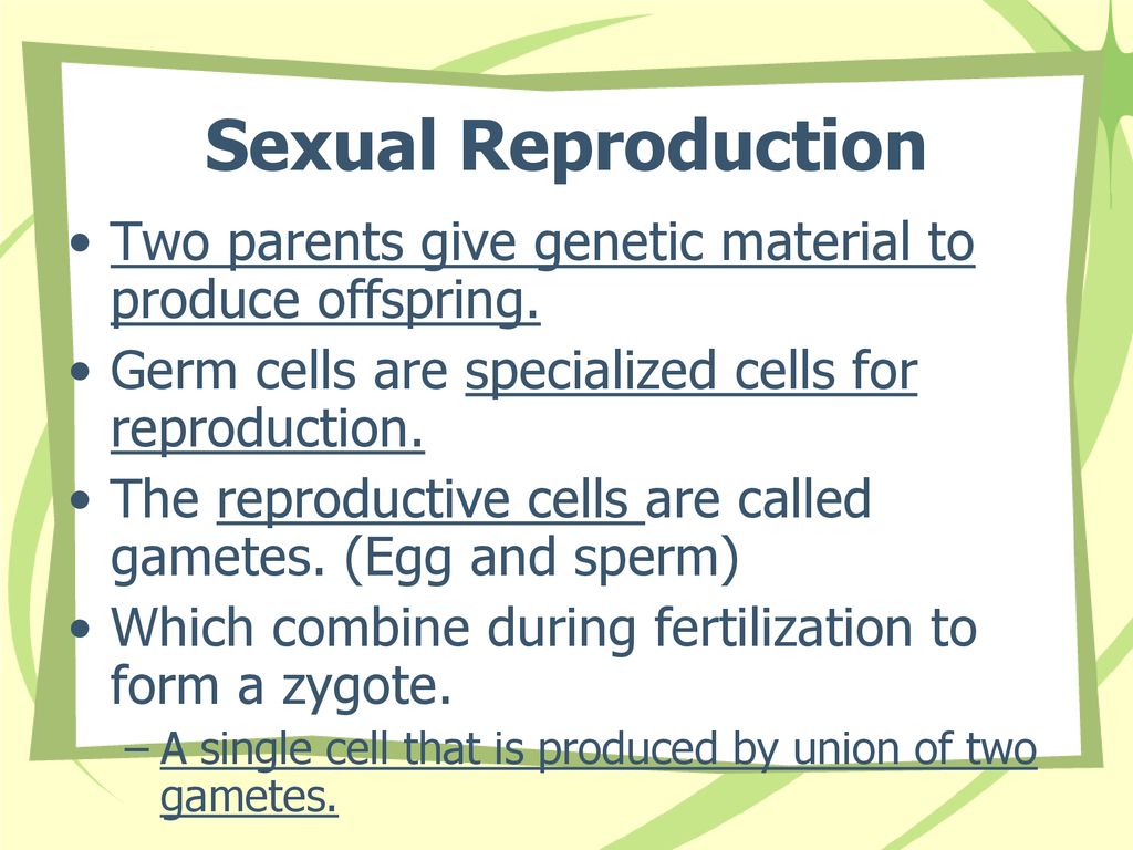 Sexual Reproduction Two parents give genetic material to produce offspring. Germ cells are specialized cells for reproduction.