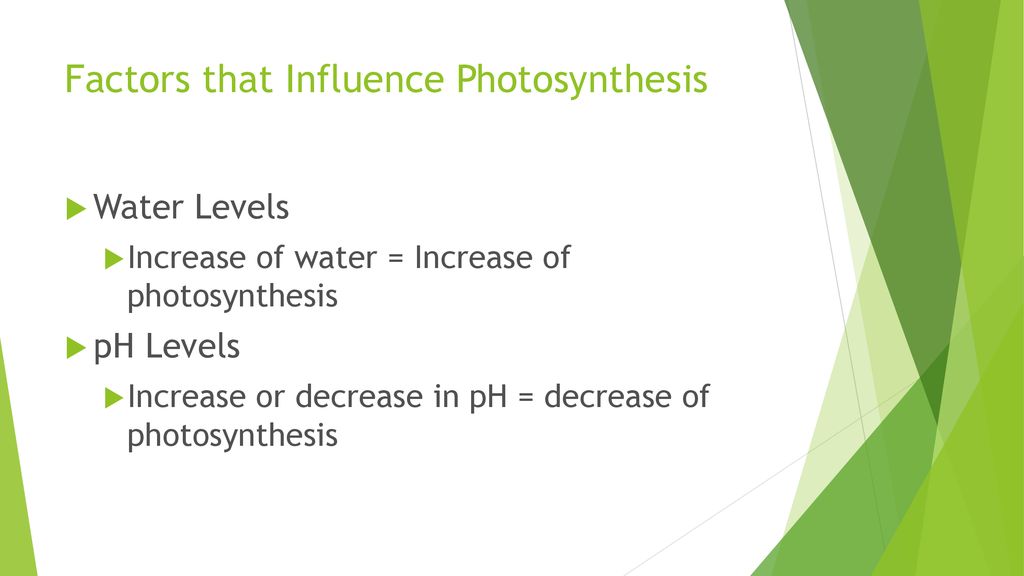Factors that Influence Photosynthesis