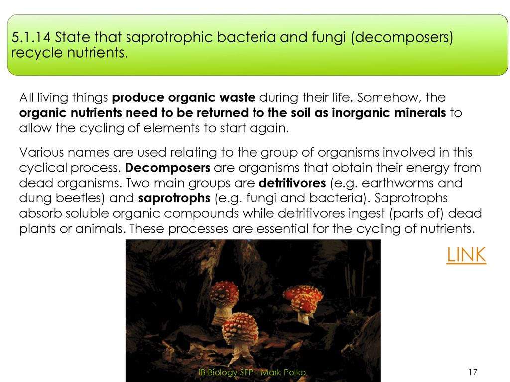 Topic 5 Ecology And Evolution Ppt Download topic-5-ecology-and-evolution-ppt-download