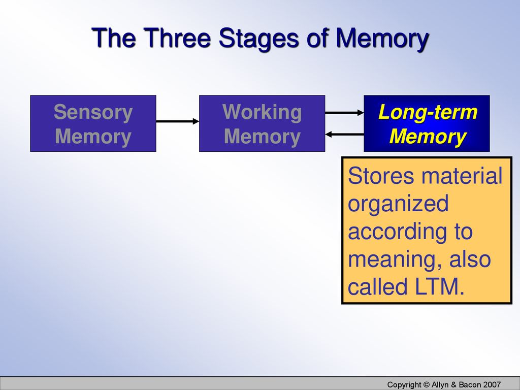 The Three Stages of Memory