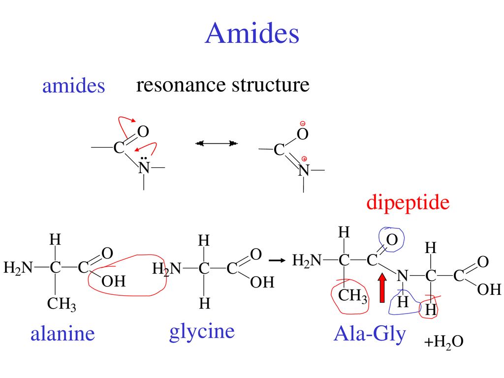 Гидролиз глицилаланина. Дипептид Ala-Gly. Аланин метионин дипептид. Аланин аланин дипептид. Аланин аланин формула дипептида.