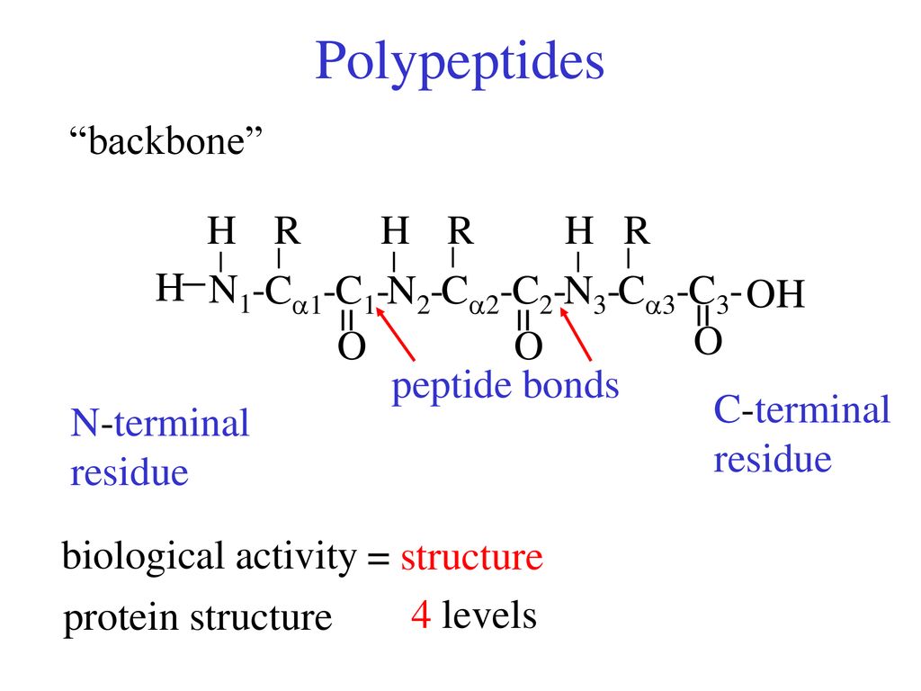 Amino Acids R Groups Non Polar Polar Acidic Basic Proteins Ppt Download