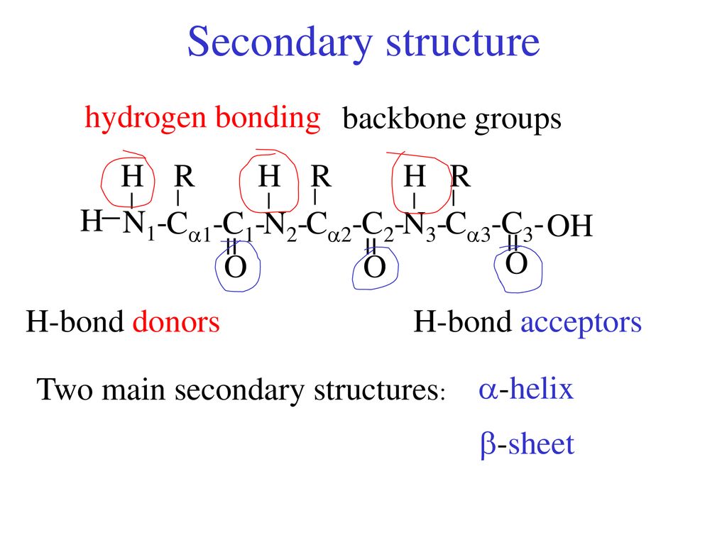 Amino Acids R Groups Non Polar Polar Acidic Basic Proteins Ppt Download
