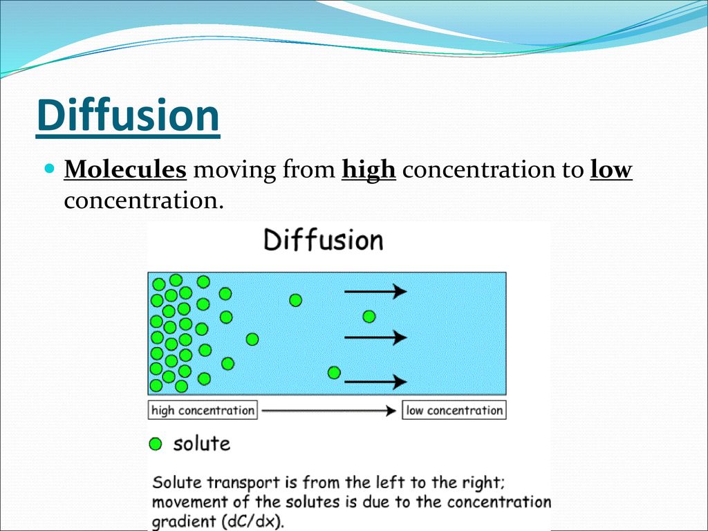 Cell Motion. - ppt download