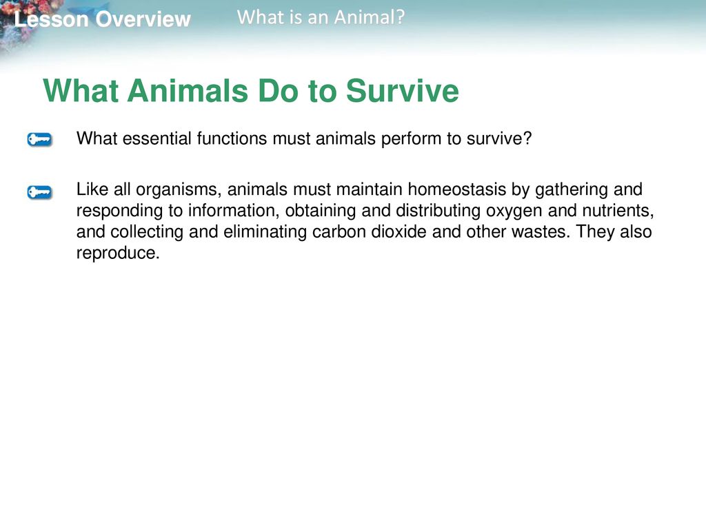 What Animals Do to Survive