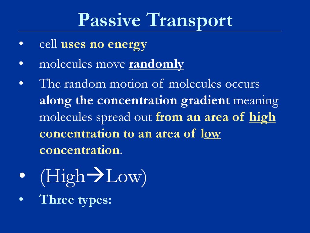 Cellular Transport Notes ppt download