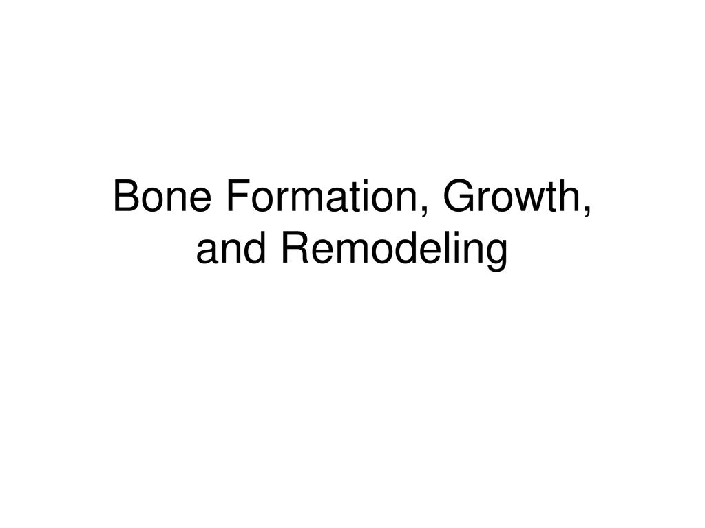 Bone Formation, Growth, and Remodeling