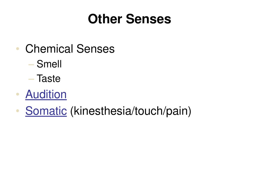 Other Senses Chemical Senses Audition Somatic (kinesthesia Touch Pain 