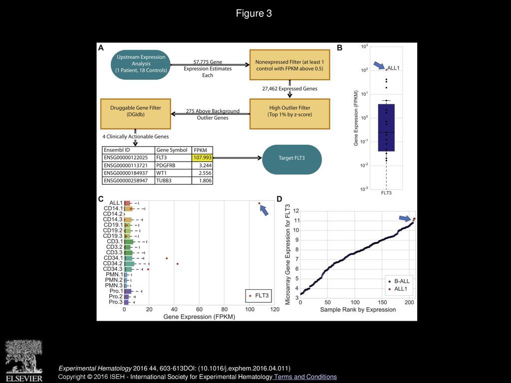 Comprehensive genomic analysis reveals flt3 activation and a