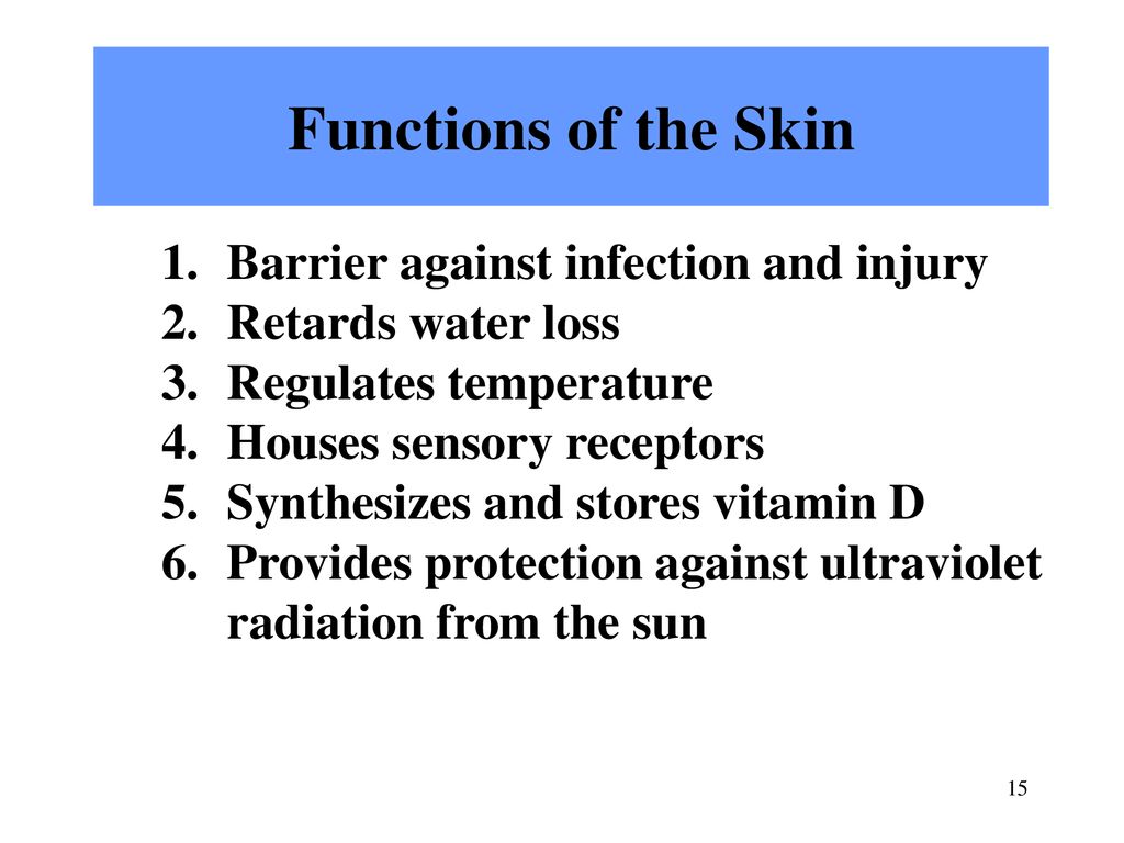 Functions of the skin