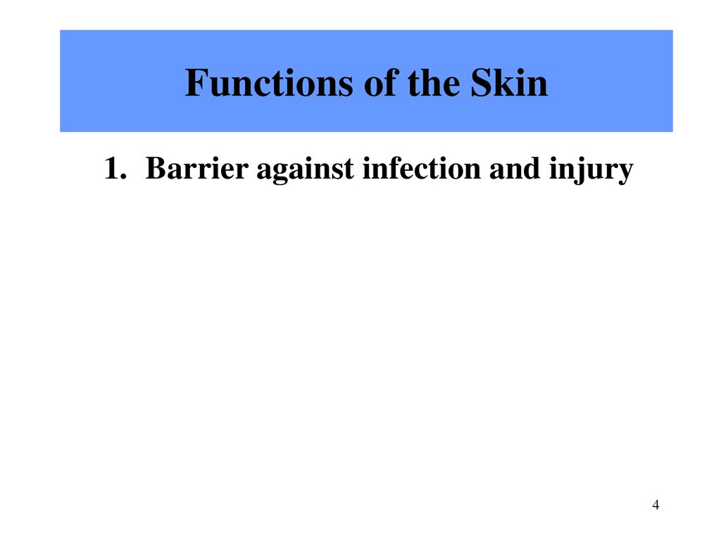 Functions of the Skin Barrier against infection and injury