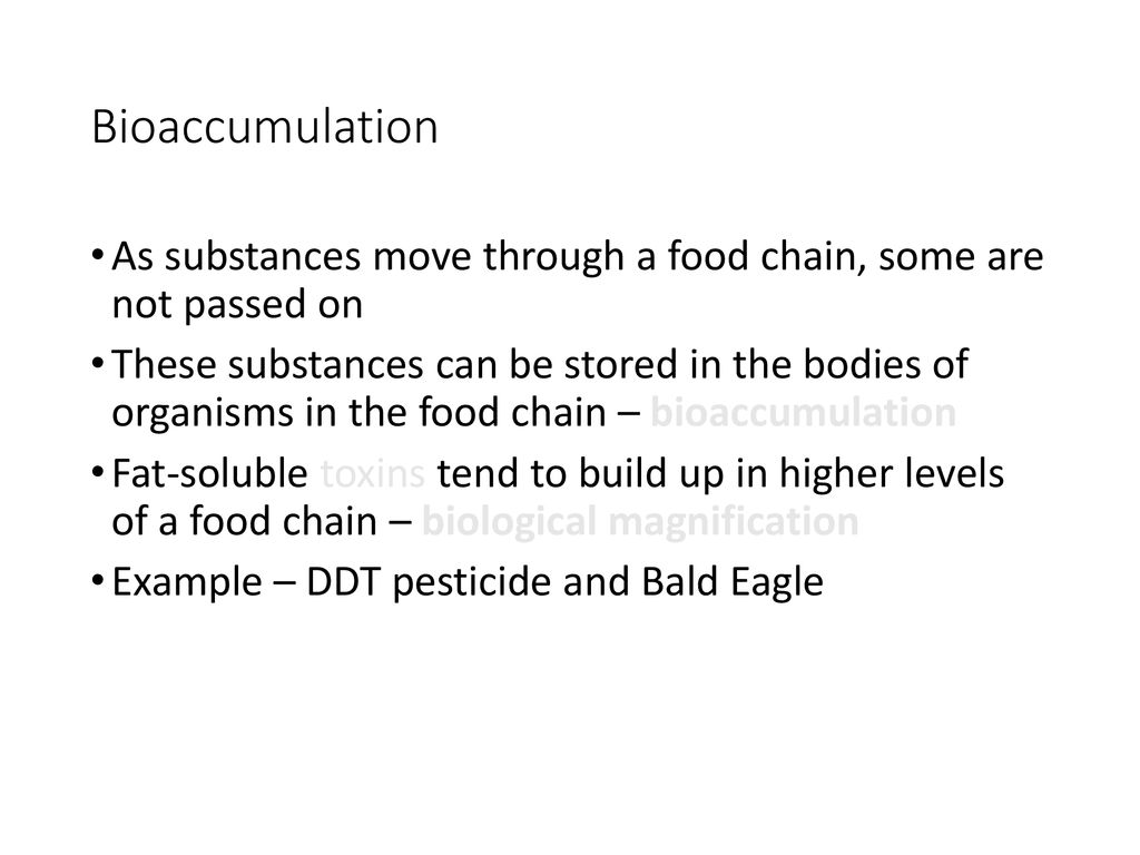 Ecosystem Ecology Chapter ppt download Biology Diagrams