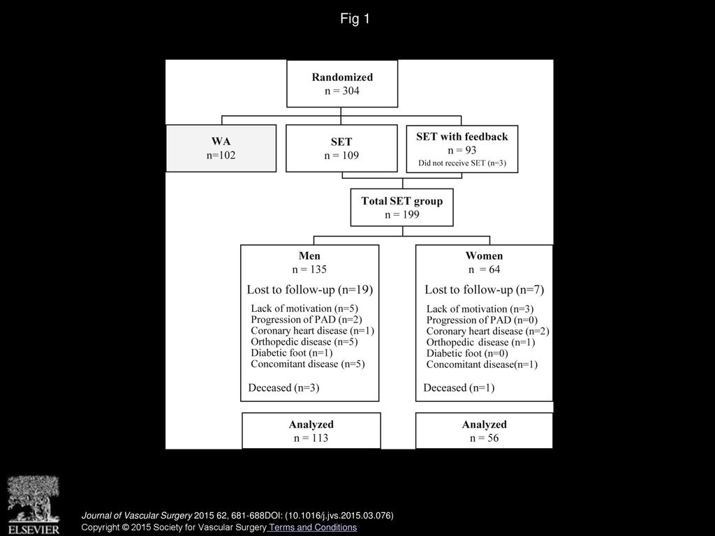 Fig 1 Flow chart of study population. PAD, Peripheral arterial disease; SET, supervised exercise therapy; WA, walking advice.