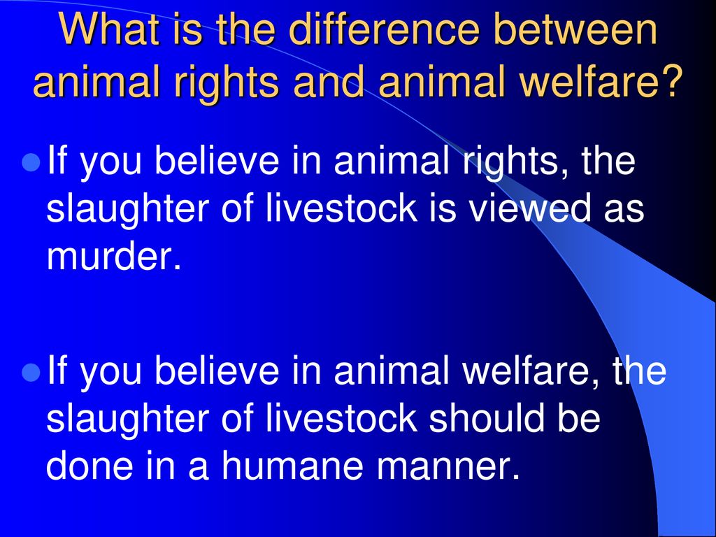 Understanding Animal Welfare Issues Ppt Download understanding-animal-welfare-issues-ppt-download
