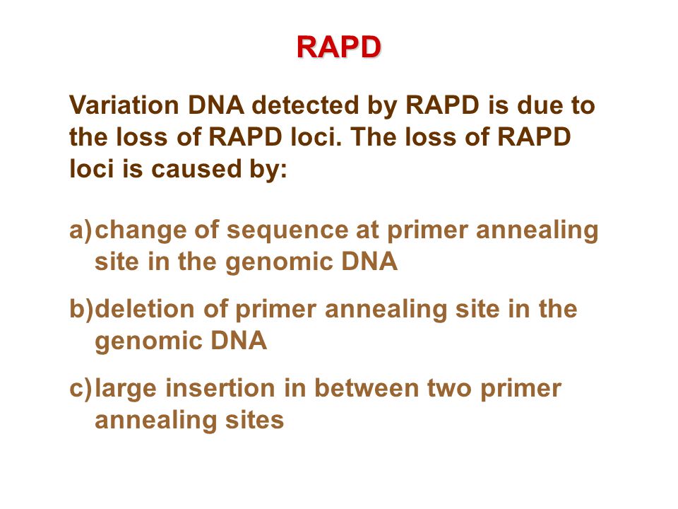RAPD Variation DNA detected by RAPD is due to the loss of RAPD loci. The loss of RAPD loci is caused by: