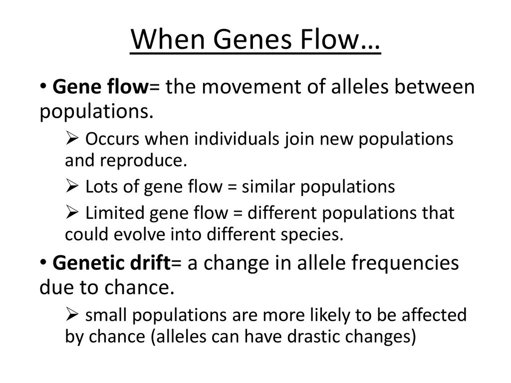 When genes flow gene flow the movement of alleles between populations