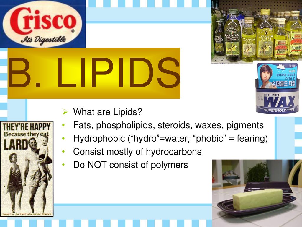 B. LIPIDS What are Lipids