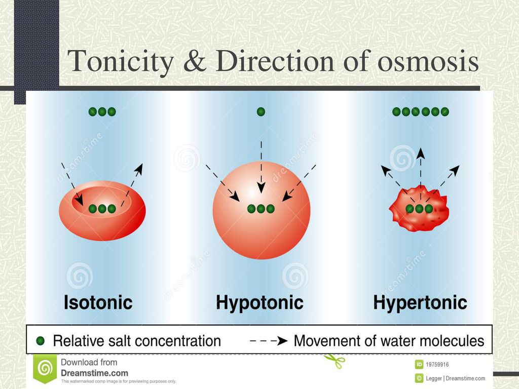 Cellular Processes Every cell must be able to carry on the processes of ...