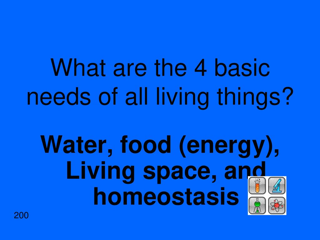 Living Things General Microscopes Plant And Animal Cells Bacteria living-things-general-microscopes-plant-and-animal-cells-bacteria