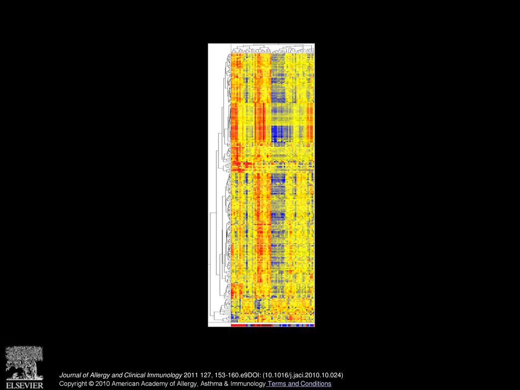 Katherine J. Baines, PhD, BBiomedSci (Hons), Jodie L - ppt download