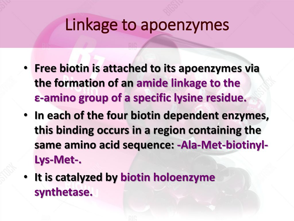 Absorption, transport and metabolism of biotin - ppt download