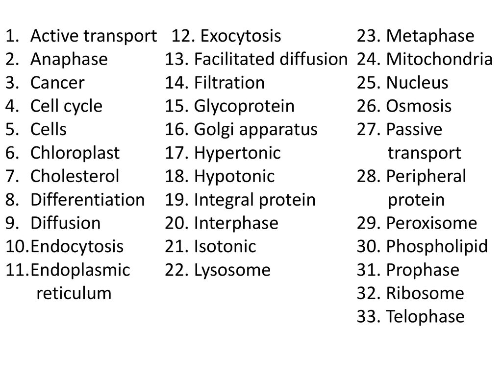 Active transport Exocytosis 23. Metaphase - ppt download