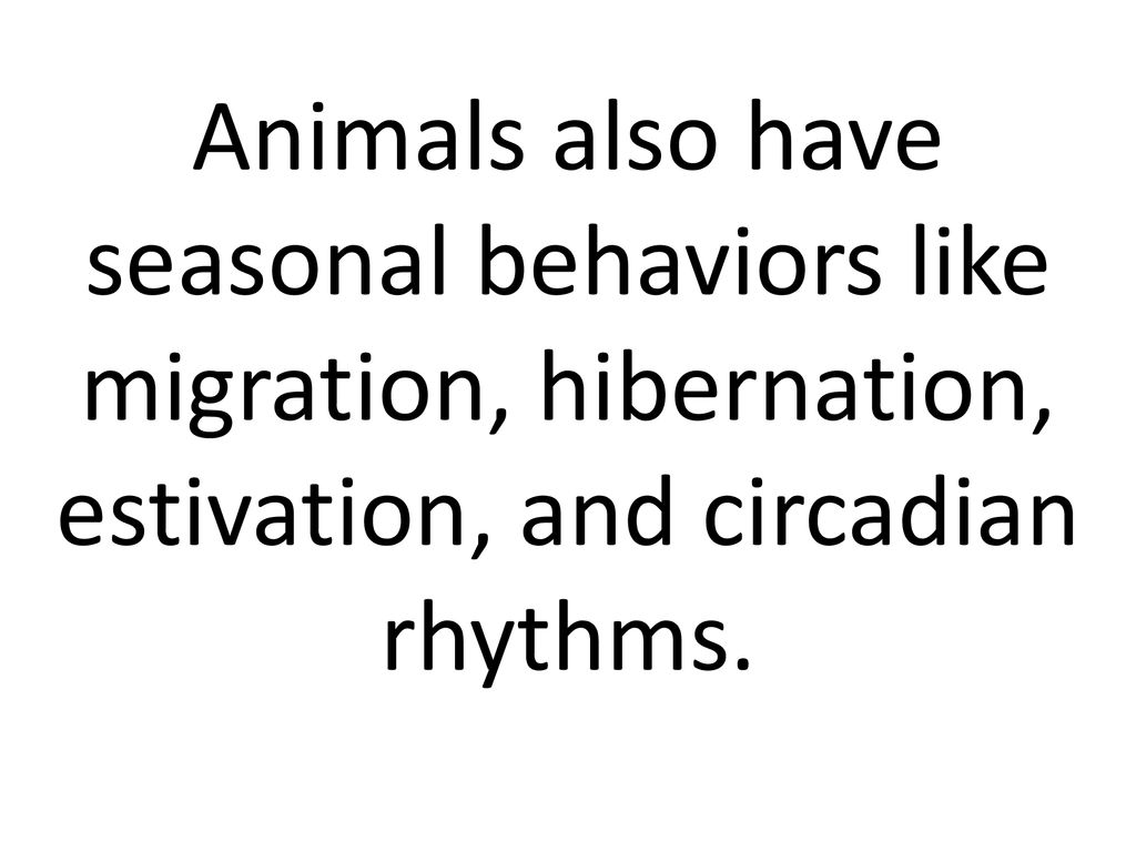 Animals running from enemies, searching for food, battling for
