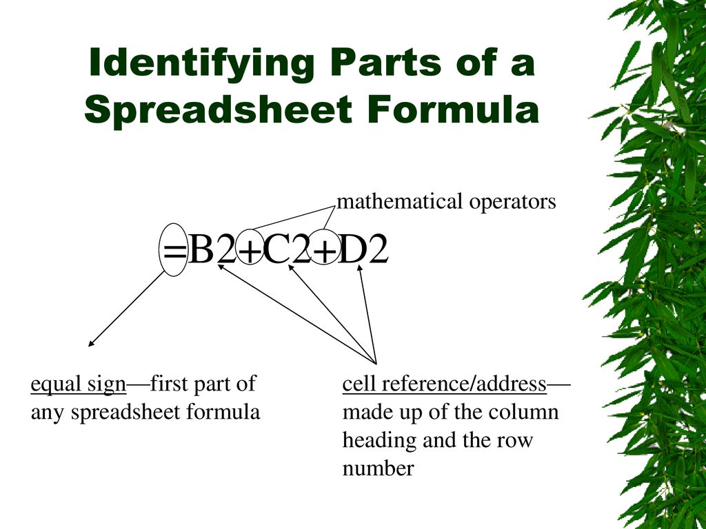 Identifying Parts of a Spreadsheet Formula