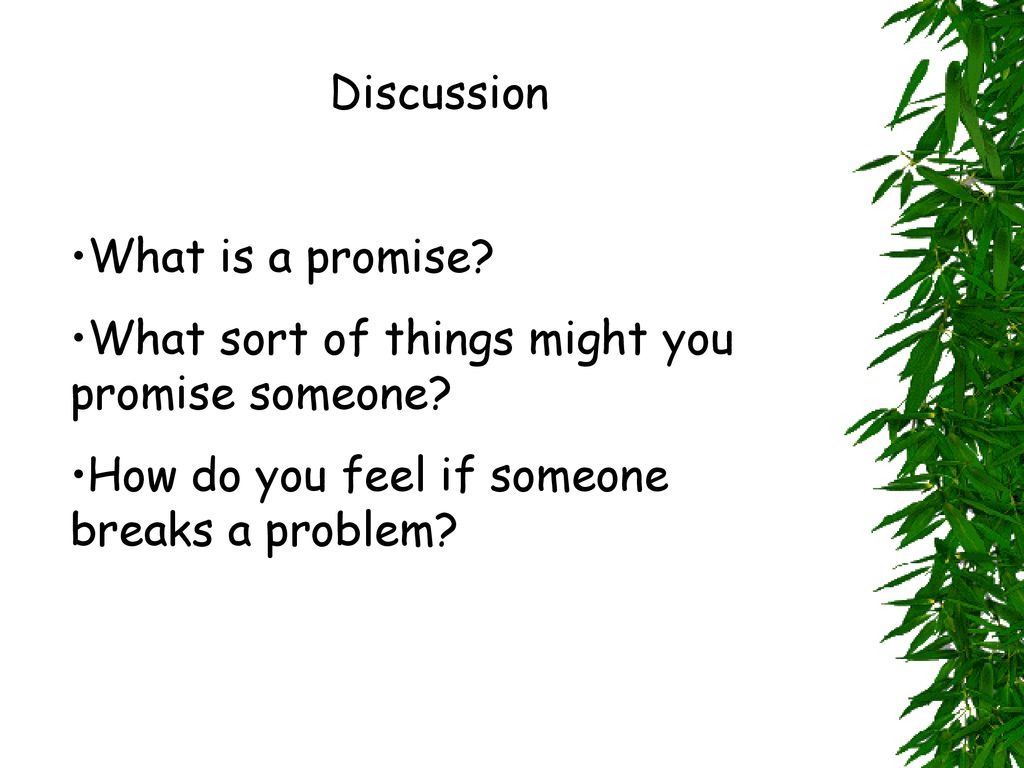 Discussion What is a promise. What sort of things might you promise someone.