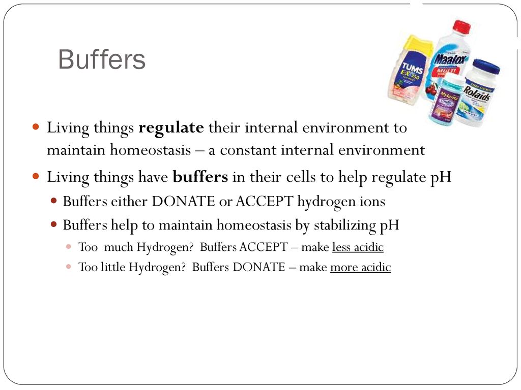 Biochemistry Module 2 USE YOUR GRAPHIC ORGANIZER FOR THESE NOTES! ppt