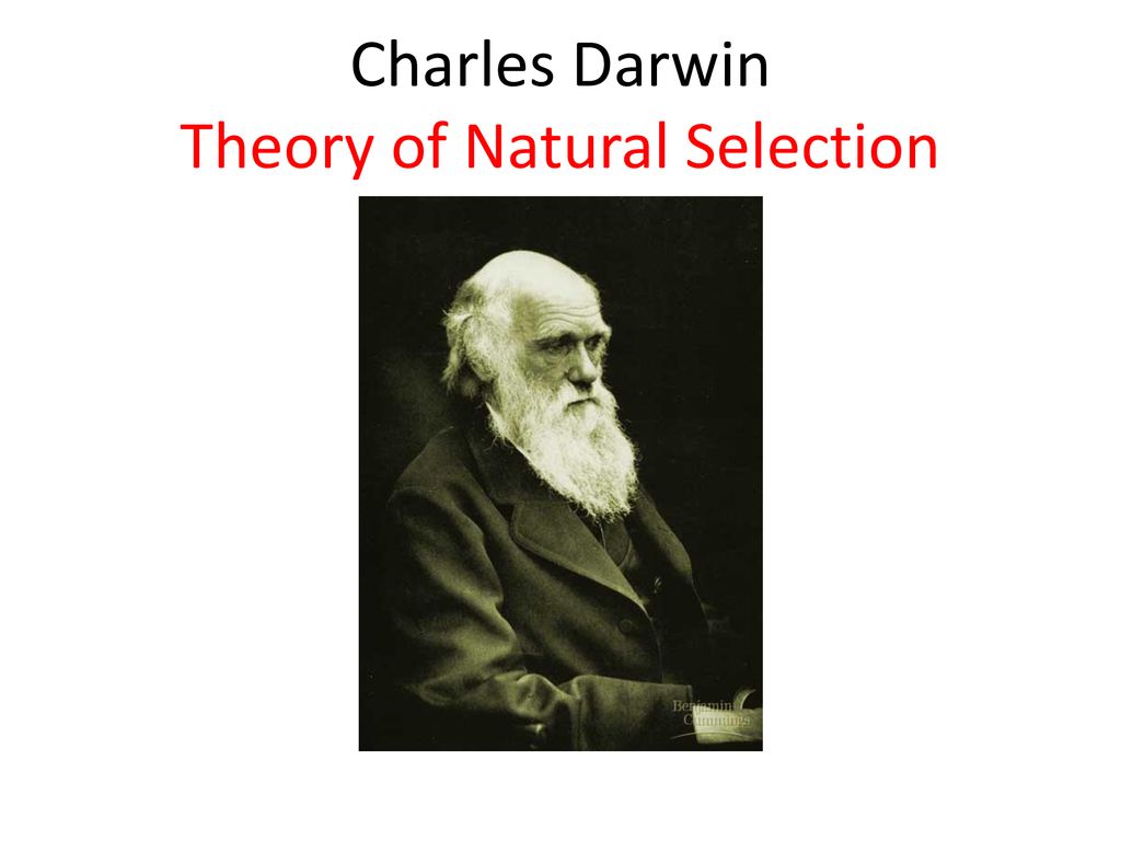 Darwin and the History to his Theory of Natural Selection - ppt download