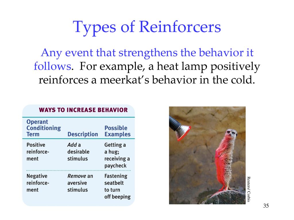 Psychology 8th edition david myers ppt download
