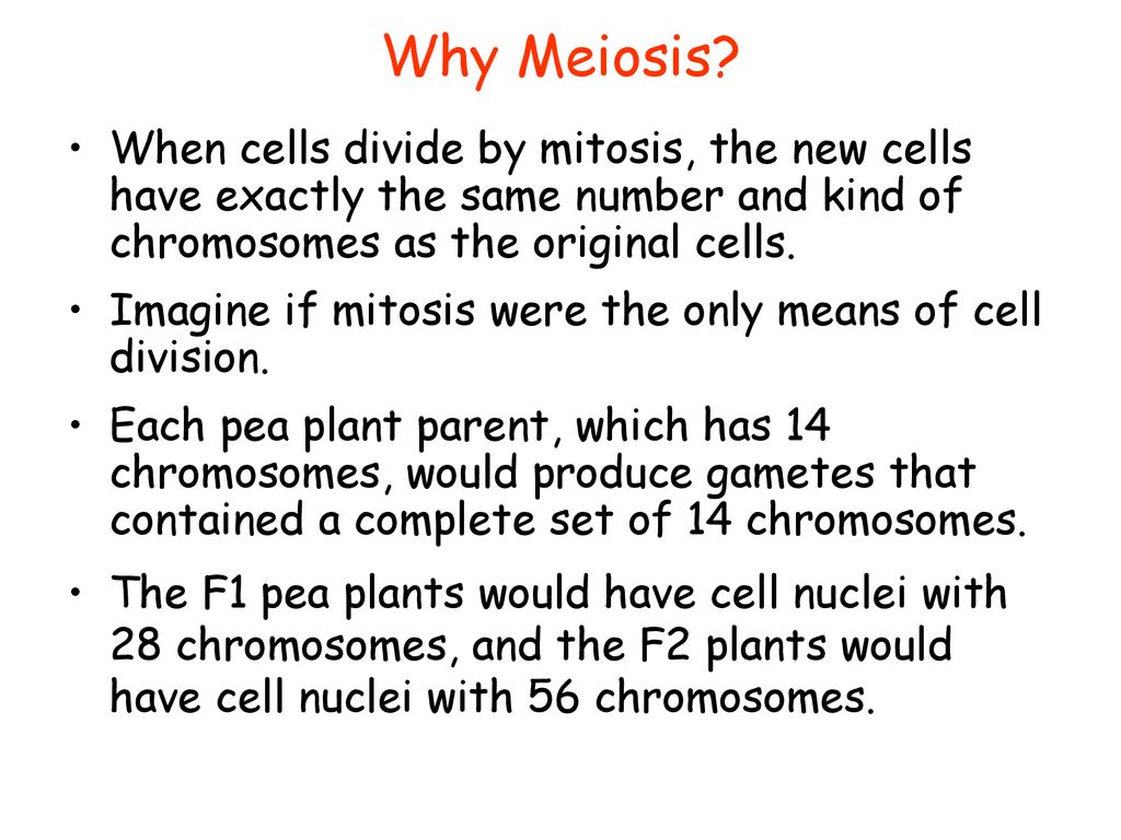 Why Meiosis When cells divide by mitosis, the new cells have exactly the same number and kind of chromosomes as the original cells.